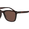 Karun KAUS0063 Havana Bro 53/19 2 Karun KAUS0063 Havana Bro 53/19 -Pearle Opticiens original png 5060486615704 angle 03 karun kaus0063 eyewear havana brown