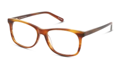 DbyD DBOT5006 NN00 50/15 -Pearle Opticiens original png 8719154828911 angle 03 dbyd dbot5006 eyewear brown brown