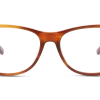 DbyD DBOT5006 NN00 50/15 -Pearle Opticiens original png 8719154828911 front 01 dbyd dbot5006 eyewear brown brown