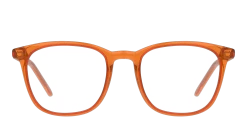 Seen SNOT0003 OO0048/19